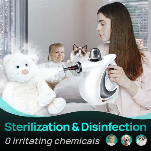 Pressurized handheld multi-functional natural steam cleaner