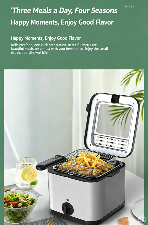 Large Capacity Multi-function Electric Deep Fryer Household Frying Pot