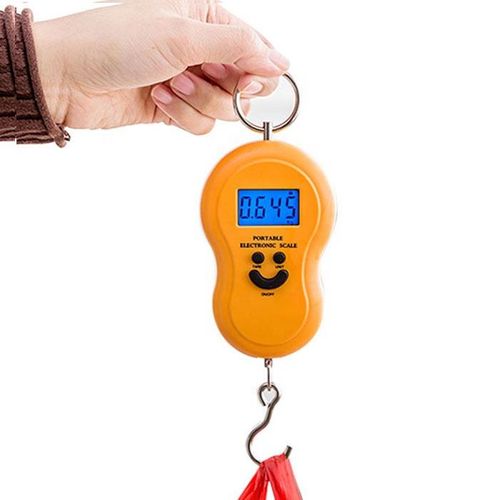 Digital Hanging 50Kg10g with Backlight Pocket Personal Balance Electronic Smart Kitchen Weighing Scale