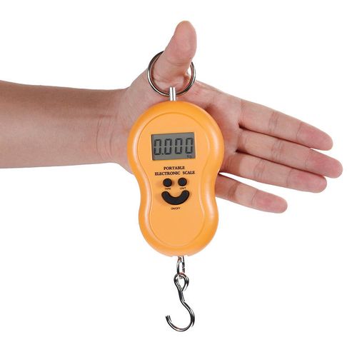 Digital Hanging 50Kg10g with Backlight Pocket Personal Balance Electronic Smart Kitchen Weighing Scale
