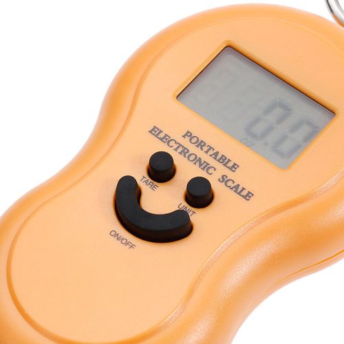 Digital Hanging 50Kg10g with Backlight Pocket Personal Balance Electronic Smart Kitchen Weighing Scale