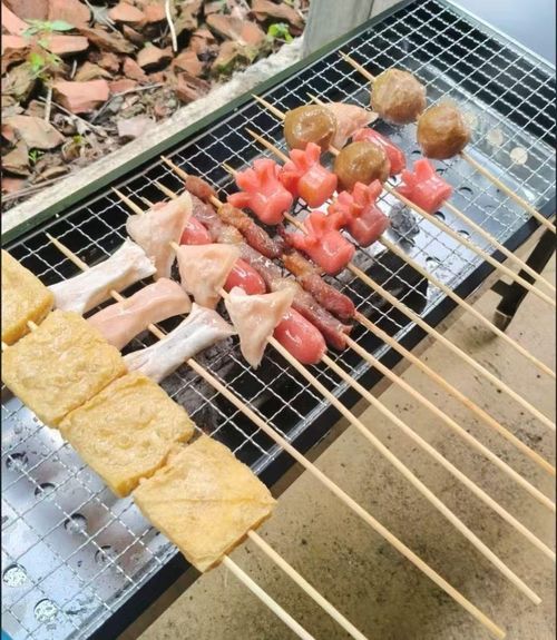 Camping BBQ grill, portable folding BBQ rack
