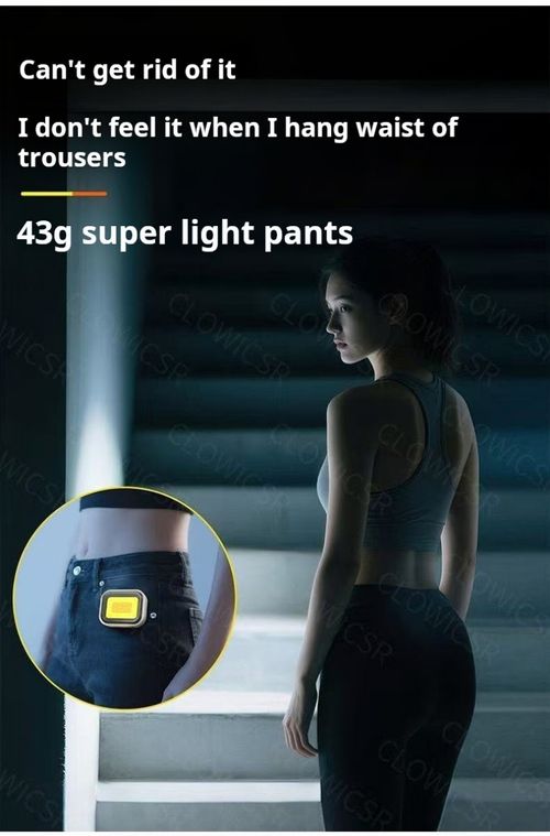 2515--Multifunctional portable lamp