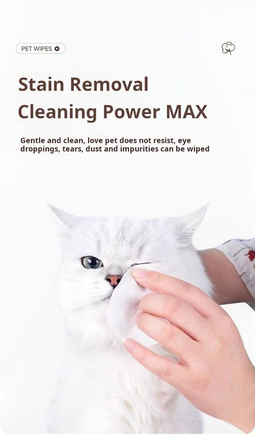 2494--3 Pieces Pet eye and ear wipes