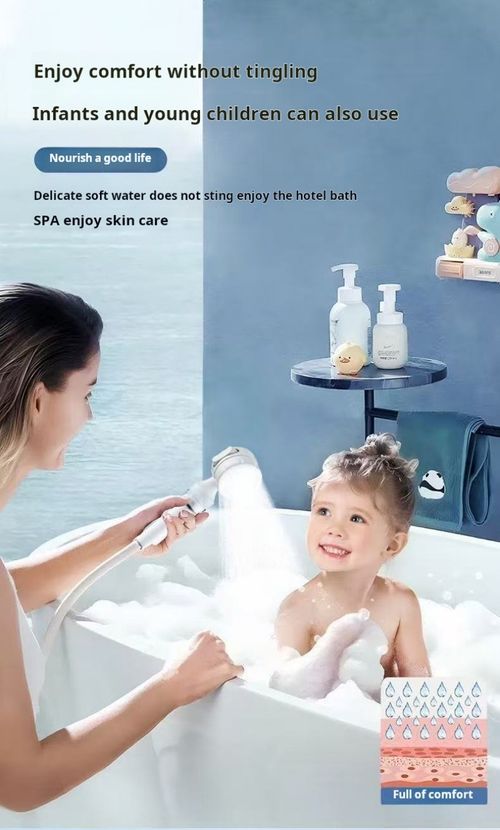 2426--2 pieces Portable filtering shower head