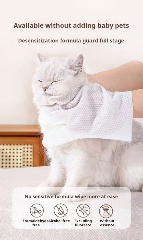 2493--4 Pieces Pet One-time Use Cleaning Gloves