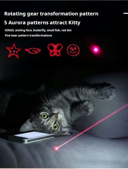 2467--Multifunctional Laser Cat Teaser Wand