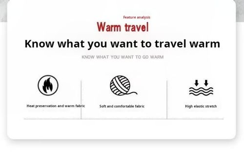 2509--3 Pieces Winter and autumn cold protection and warmth retention mask