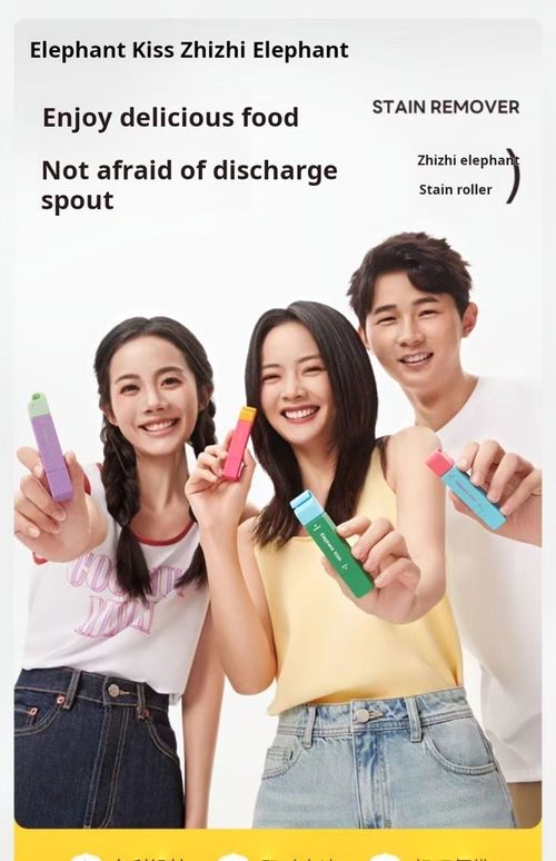 2312--2 pieces Portable oil and dirt removal pen