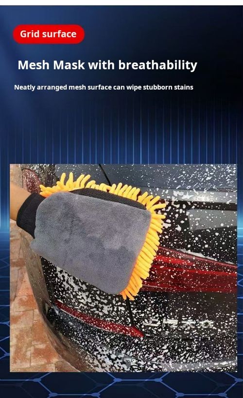 2501--3 Pieces Car wash cleaning gloves