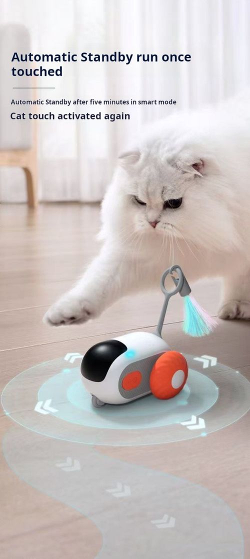 2503--Remote-controlled Cat-Petting Car