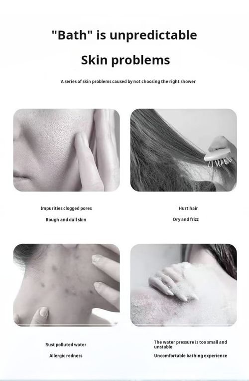 2426--2 pieces Portable filtering shower head