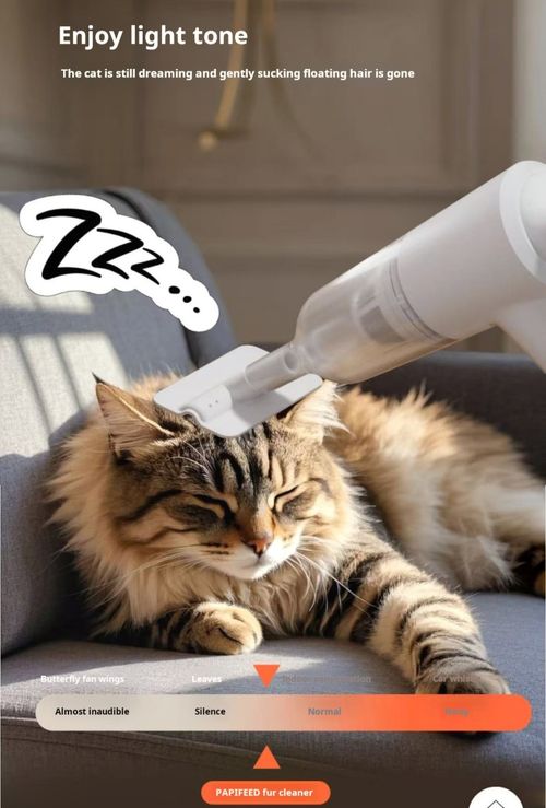 2505--electric vacuum cleaner