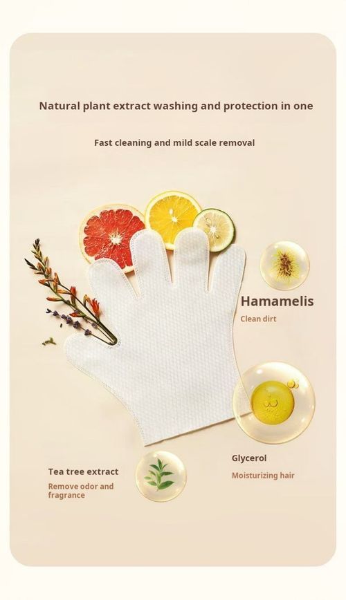 2493--4 Pieces Pet One-time Use Cleaning Gloves