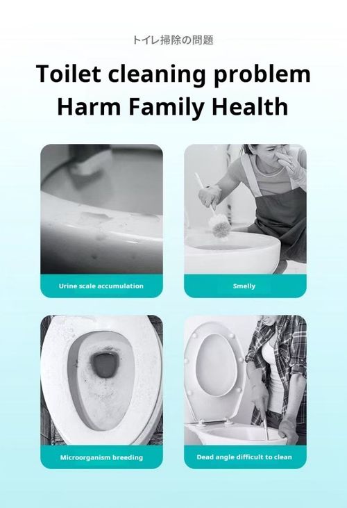 2461--3 Pieces Toilet deodorizer and toilet cleaner