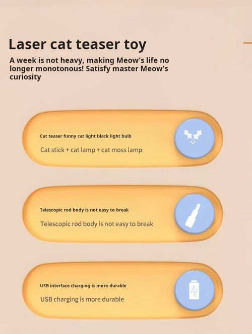 2467--Multifunctional Laser Cat Teaser Wand