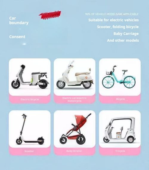 2401--2 Pieces Electric vehicle storage bag