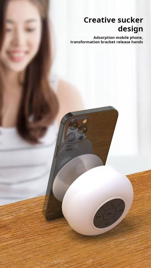 2061--2 Pieces Waterproof suction cup speaker