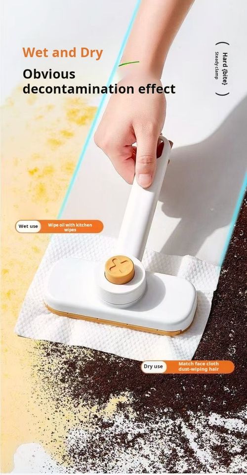 2447--2 Pieces  Miniature small mop