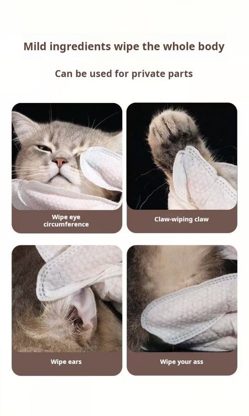 2493--4 Pieces Pet One-time Use Cleaning Gloves