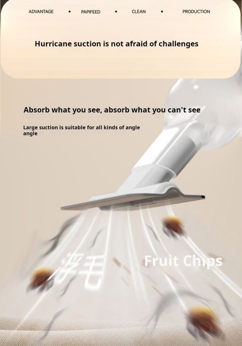 2505--electric vacuum cleaner