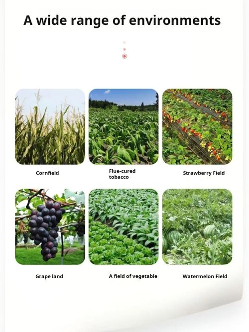 2211--Portable fertilizing and sowing machine