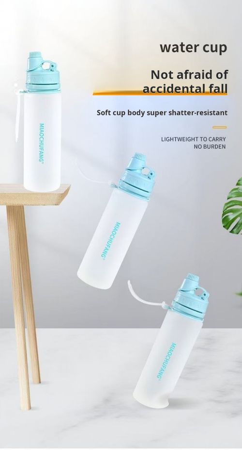 2434 -- Silicone folding water bottle