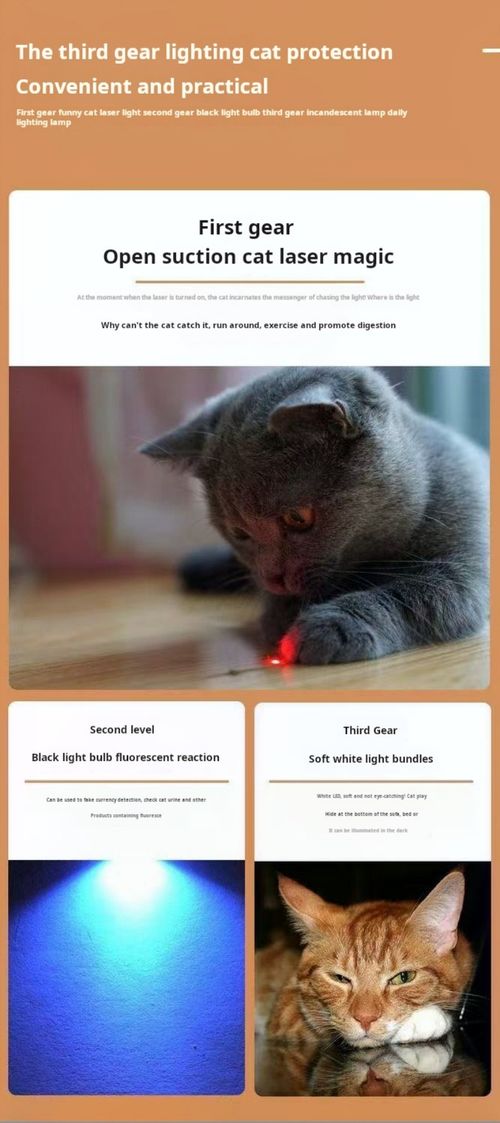 2467--Multifunctional Laser Cat Teaser Wand