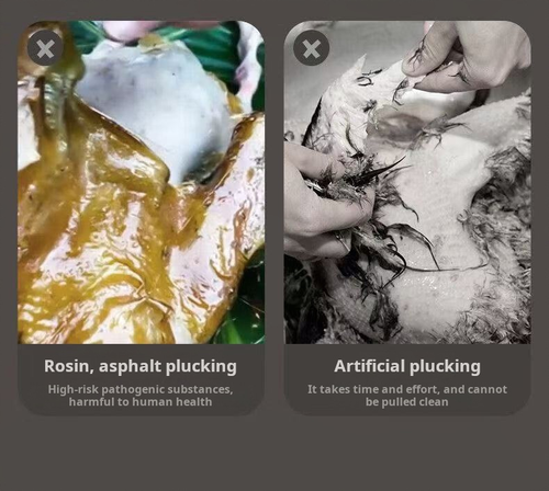 2209--Electric hair removal device