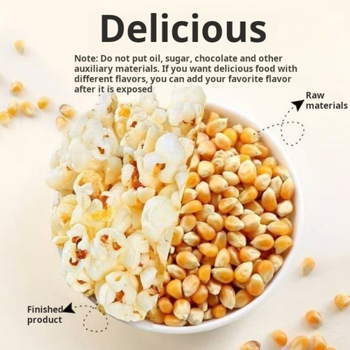 2042--Household popcorn maker