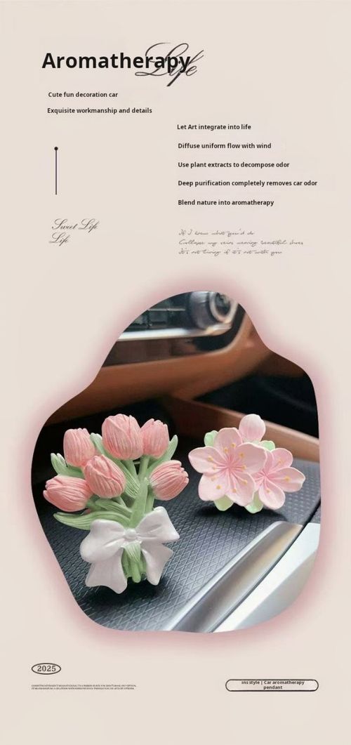 2440-- 2 Pieces Car-mounted aroma diffuser