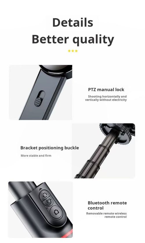 2212--Cloud platform stabilization selfie stick