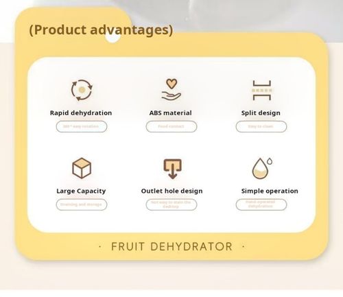 2414--Drain and spin dry the vegetable basket