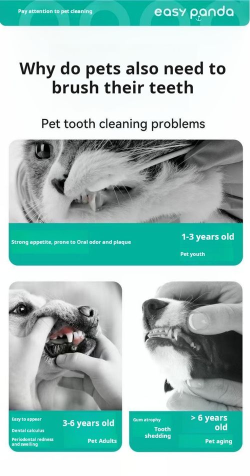 2489--Pet tooth cleaning products