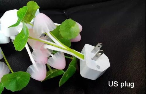 C1908    6piecesColorful Mushroom Waterweed Design Desk Lamp