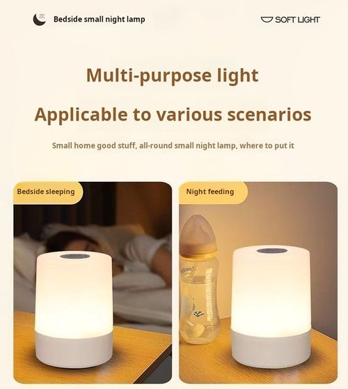 2497--3 Pieces Touch the night light