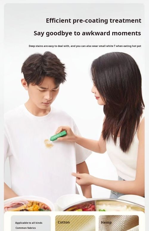 2312--2 pieces Portable oil and dirt removal pen