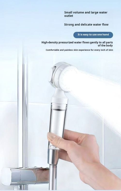2426--2 pieces Portable filtering shower head