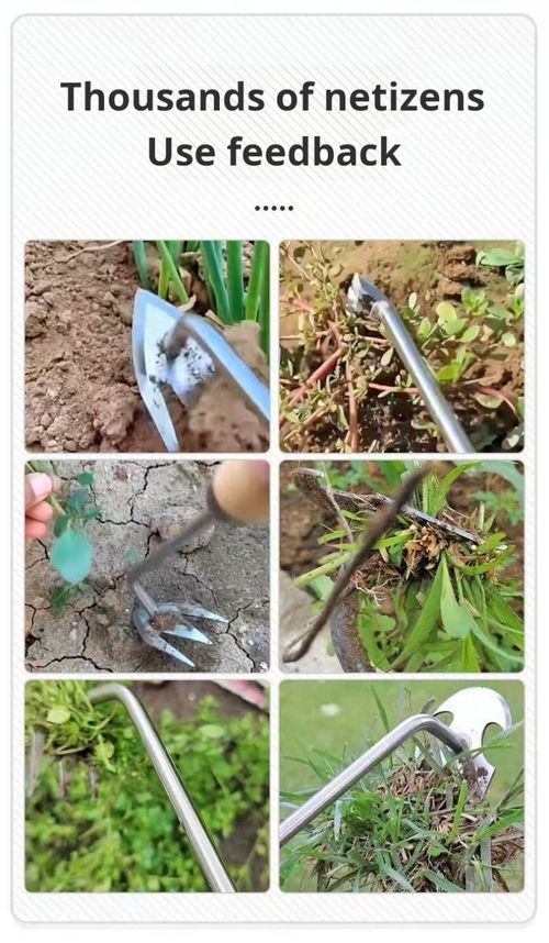 2277--2 Pieces Multifunctional stainless steel agricultural herbicide harrow