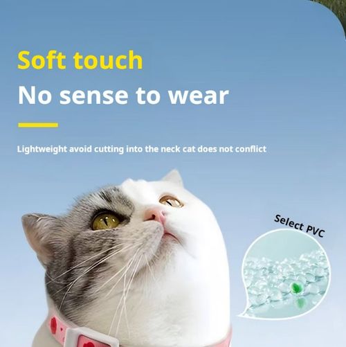 2487--2 Pieces Pet plant essential oil collar