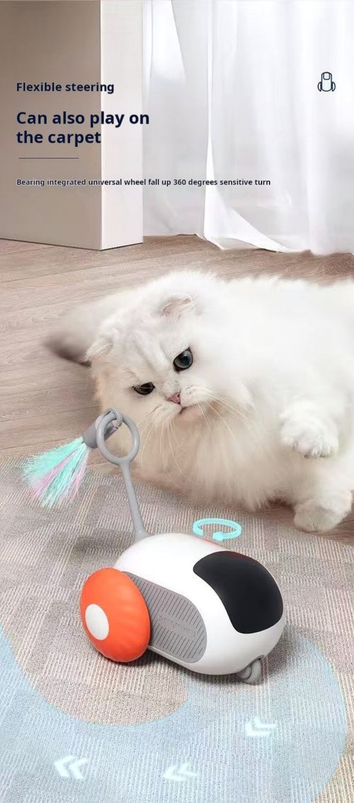 2503--Remote-controlled Cat-Petting Car