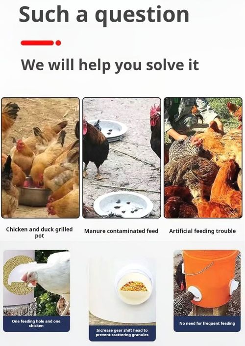 2287--9 PiecesAutomatic poultry feeder