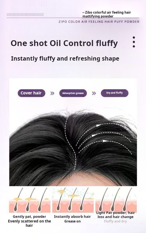 2404--3 Pieces Head Oil Control Powder