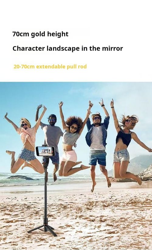 2212--Cloud platform stabilization selfie stick