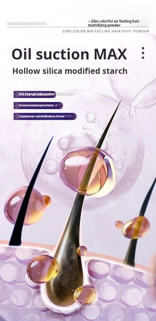 2404--3 Pieces Head Oil Control Powder