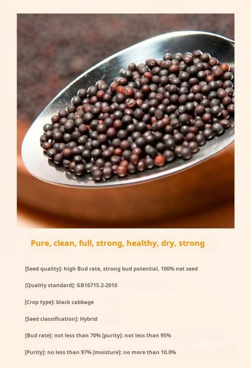 2350--3 Packaging Cream-colored heart-shaped spinach seeds