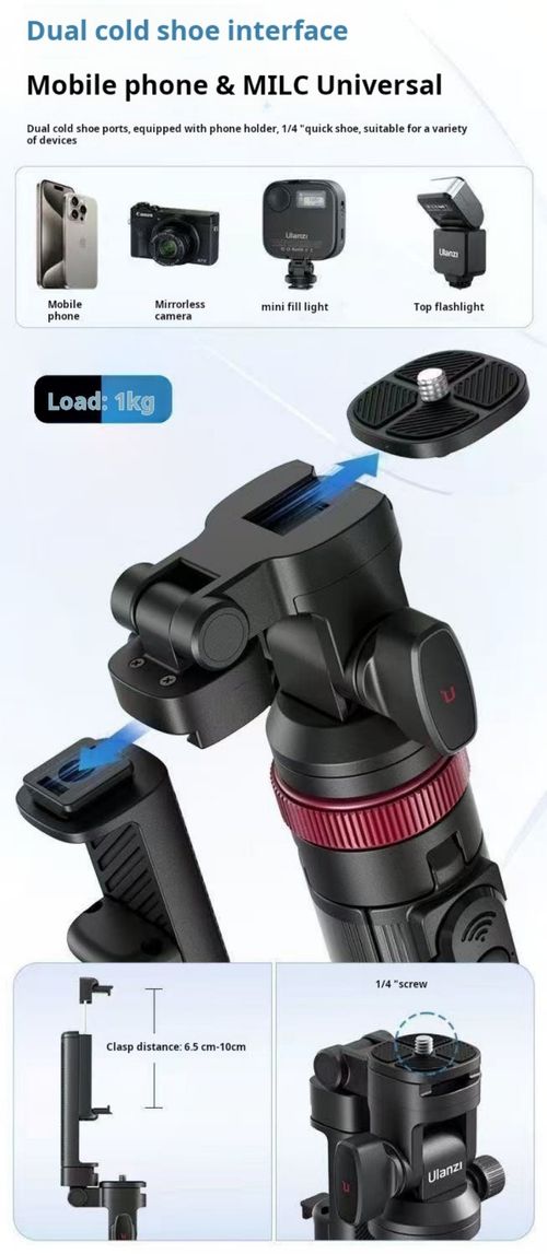 2342--Holding a telescopic selfie stick