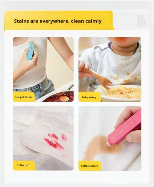 2312--2 pieces Portable oil and dirt removal pen