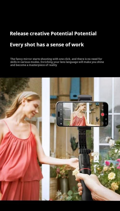 2212--Cloud platform stabilization selfie stick