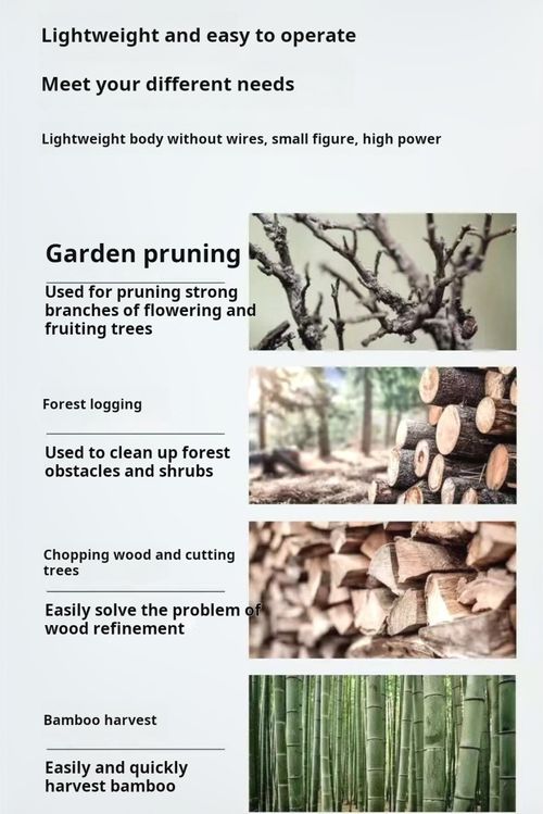 2227--Cutting down trees and felling wood with an electric chainsaw